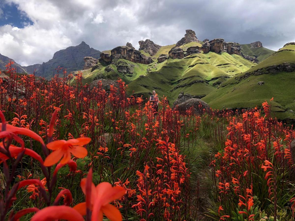 Country Comfort Underberg Dış mekan fotoğraf